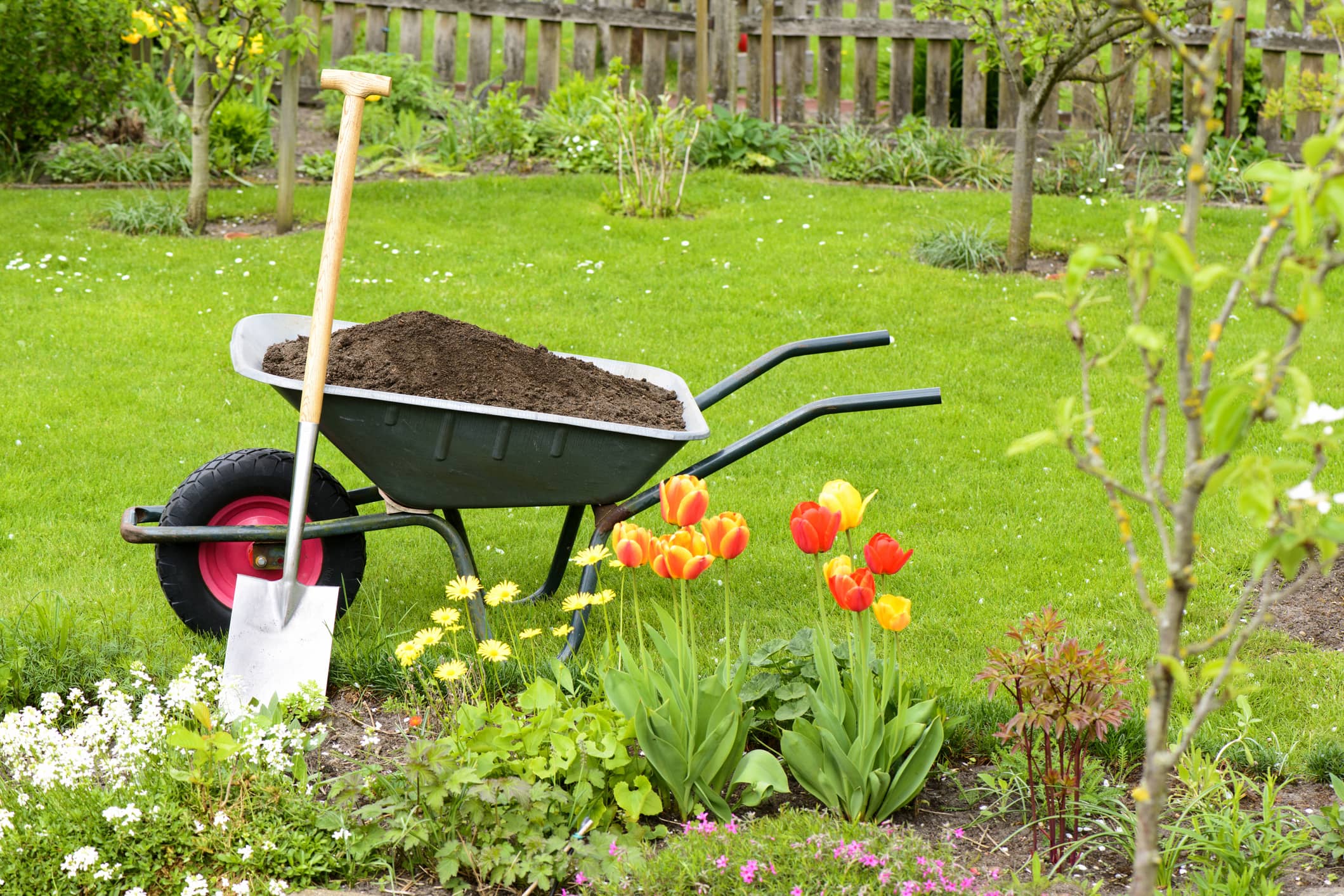 Should You Spend Money on Your Garden?